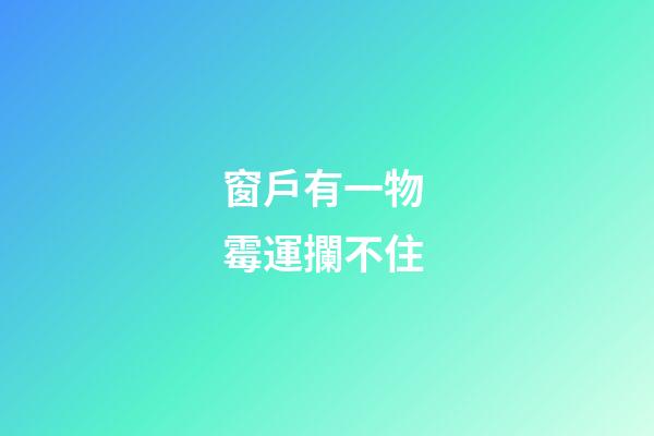 窗戶有一物 霉運攔不住
